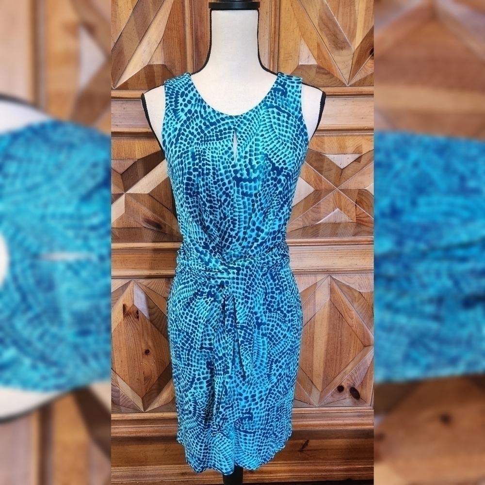 Banana Republic Issa London Collection Sz 0